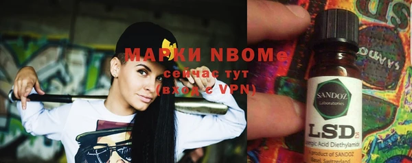 индика Аркадак