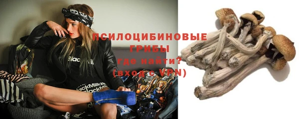 дживик Арсеньев