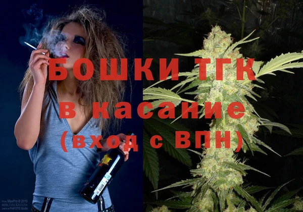 индика Аркадак