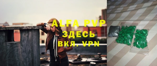 индика Аркадак