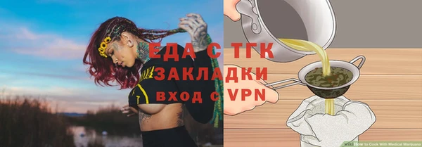 индика Аркадак