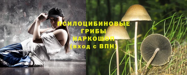 индика Аркадак