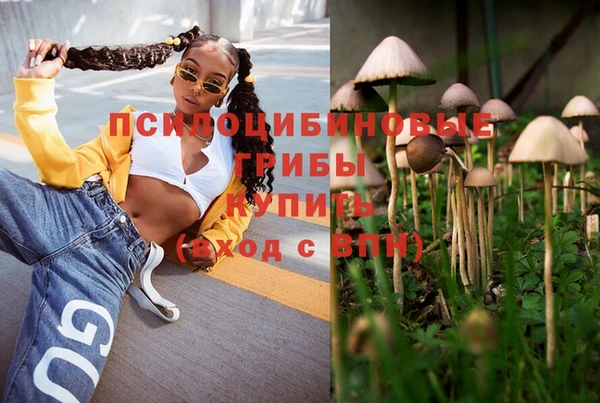 кокс Армянск