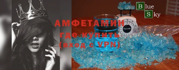 индика Аркадак