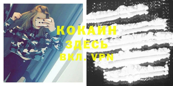 индика Аркадак