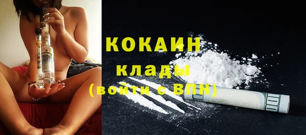 дживик Арсеньев